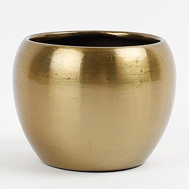 Brass Metal Orchid Mini Vase Gift brass vase for plant Ferns N Petals