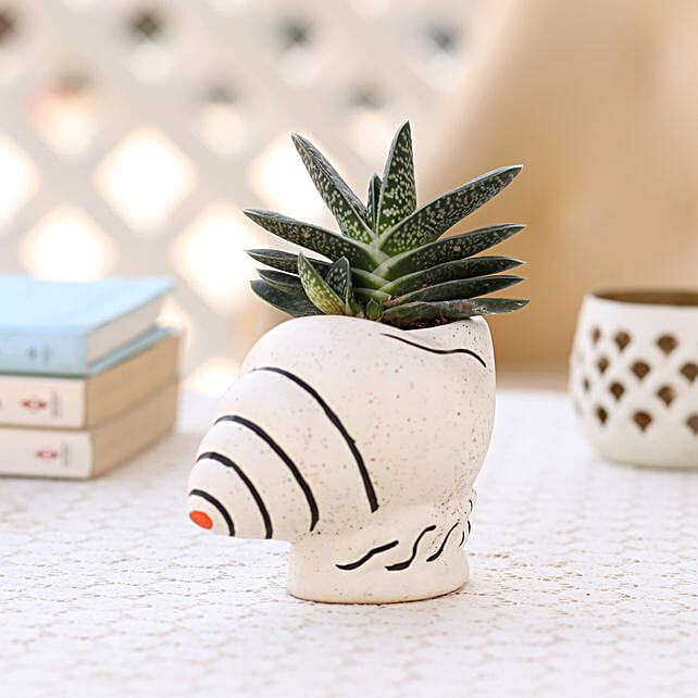 Shell Shaped Ceramic Pot