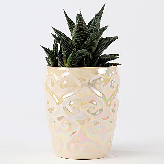 Metallic Finish Ceramic Pot