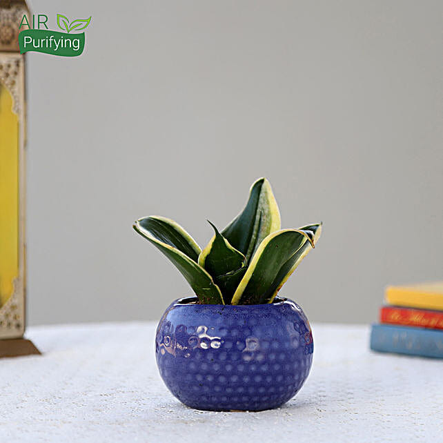 Blue Ceramic Pot