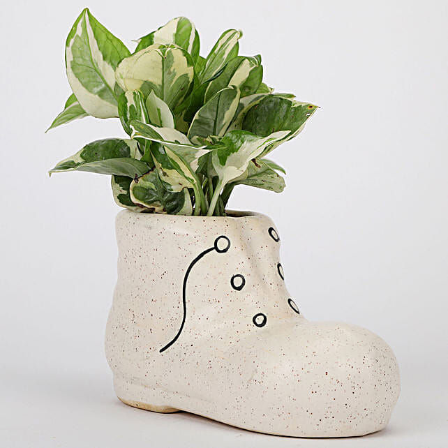 Shoe Shaped Ceramic POt