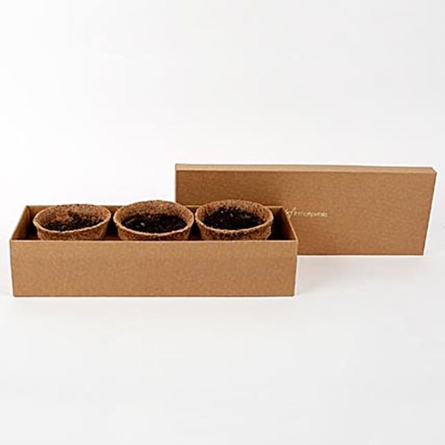 Self Growing Plants Kit with Coir Pots