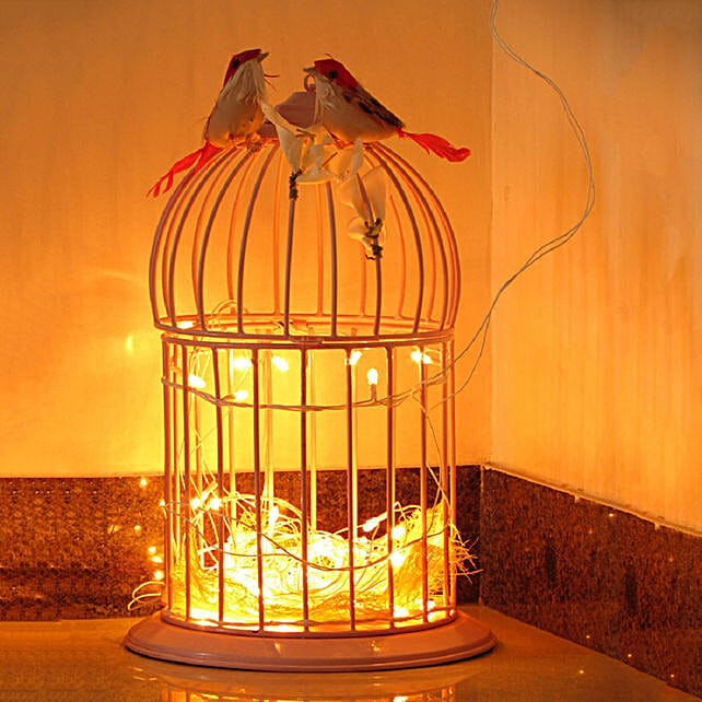 Bird cage with fairy lights