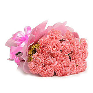 15 Pink Carnations - Bunch of 15 Pink Carnations in pink paper packing.