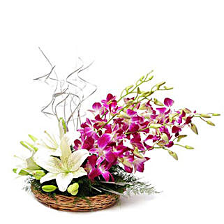 Always Works - Basket arrangement of 2 White asiatic lilies and 6 Purple Orchids.